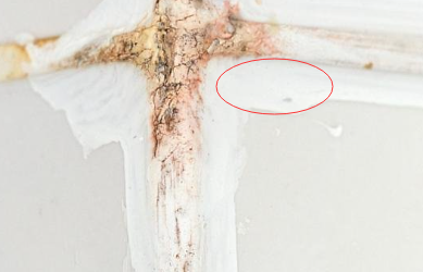 密封膠在生產時可以使用熒光增白劑增白嗎？